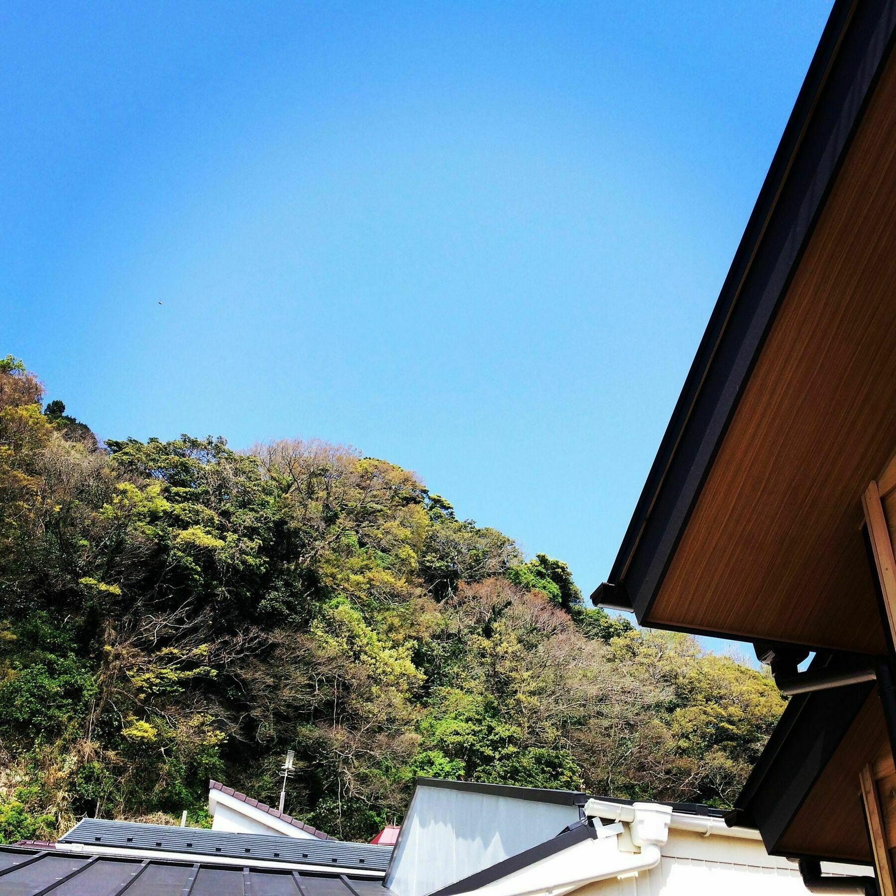Guest House Kamakura Zen-Ji Zewnętrze zdjęcie