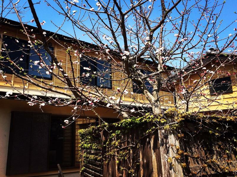 Guest House Kamakura Zen-Ji Zewnętrze zdjęcie